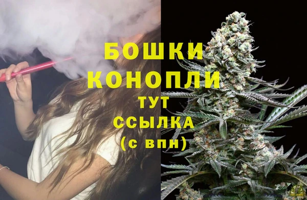 прущая мука Горняк