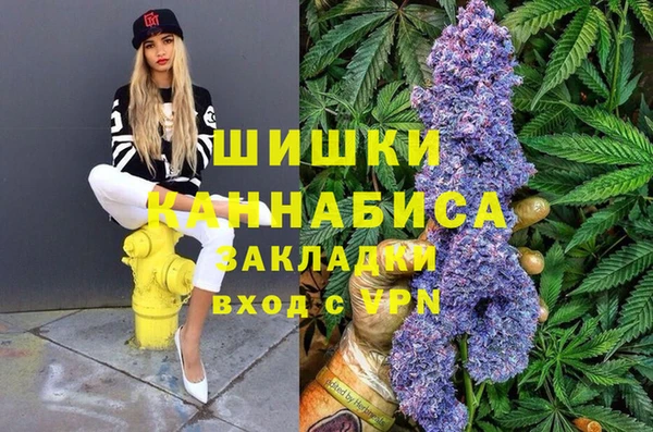 PSILOCYBIN Гусев